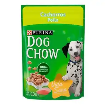 Costco Dog Chow Alimento Húmedo para Cachorro Sabor Pollo 20 pzas de 100 g oferta