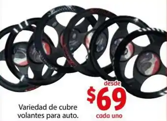 Variedad de Cubre Volantes para Auto