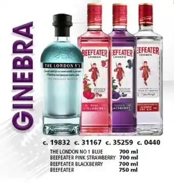 Bodegas Alianza Ginebra oferta