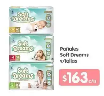 Arteli express Pañales Soft Dreams v/tallas oferta