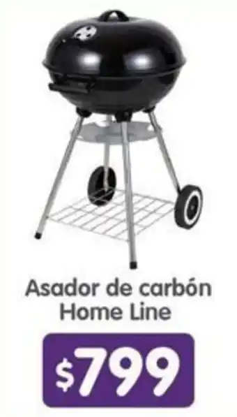 Arteli express Asador de carbón Home Line oferta