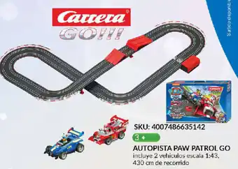 Autopista Paw Patrol Go