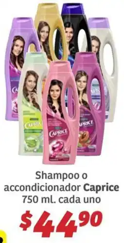 Soriana Híper Caprice shampoo o accondicionador Shampoo Head & Shoulders oferta