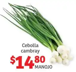 Soriana Híper Cebolla cambray oferta