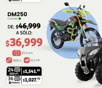 Soriana Mercado DM250 oferta