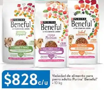 Walmart Purina beneful variedad de alimento para perro adulto oferta