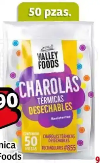 Soriana Mercado Valley foods charola térmica #855 oferta