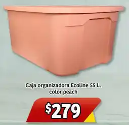 Soriana Mercado Caja organizadora ecoline oferta