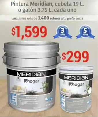 Soriana Híper Meridian Pintura cubeta oferta