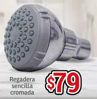 Soriana Híper Regadera sencilla cromada oferta