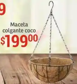 Soriana Híper Maceta colgante coco oferta