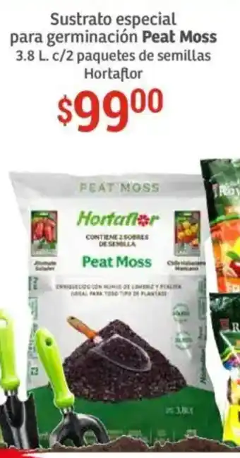 Soriana Híper Peat moss sustrato especial para germinación oferta