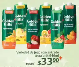 Fresko Golden hills variedad de jugo concentrado tetra brik oferta