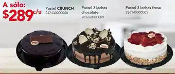 City Club Crunch pastel oferta