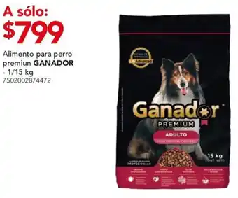 City Club Ganador alimento para perro premiun oferta