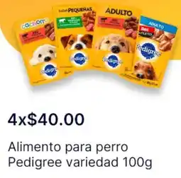 OXXO Pedigree variedad alimento para perro oferta