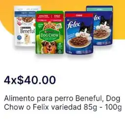 OXXO Alimento para perro beneful, dog oferta