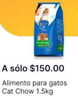 OXXO Cat chow alimento para gatos oferta