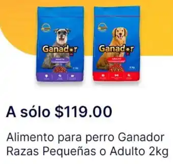 OXXO Ganador razas pequeñas o adulto alimento para perro oferta