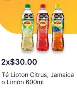 OXXO Té lipton citrus, jamaica o limón oferta