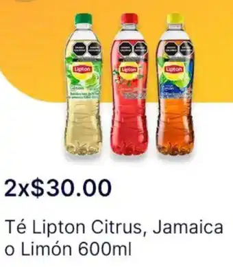 OXXO Té lipton citrus, jamaica o limón oferta