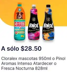 OXXO Cloralex mascotas oferta