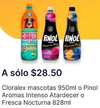 OXXO Cloralex mascotas oferta