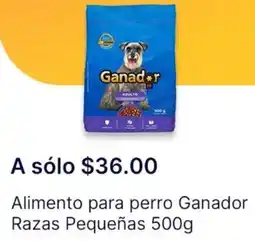 OXXO Ganador razas pequeñas alimento para perro oferta