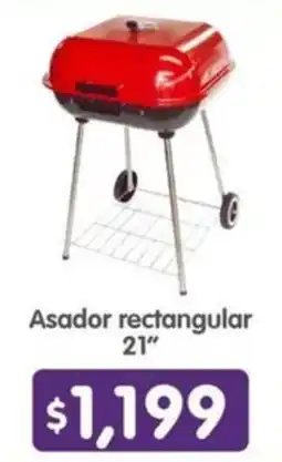 Arteli express Asador rectangular 21” oferta