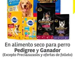 Soriana Híper En alimento seco para perro Pedigree y Ganador oferta