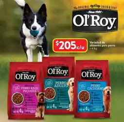 Walmart Ol'Roy Variedad de alimento para perro oferta