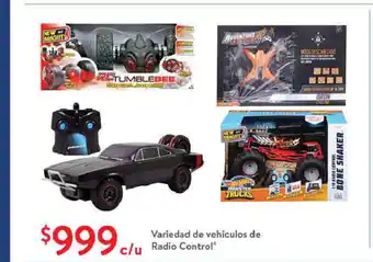 Variedad de Vehiculas de Radio Control