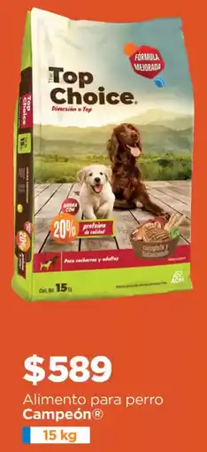 Chedraui Campeón alimento para perro oferta