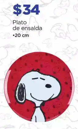 Plato de ensalda