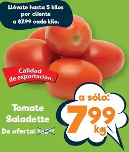 Tomate saladette