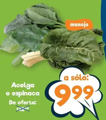 S-Mart Acelga o espinaca oferta