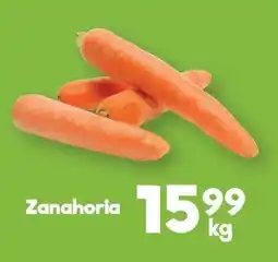 Zanahoria