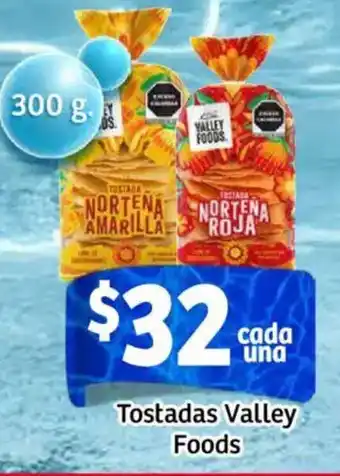 Soriana Mercado Valley foods tostadas oferta