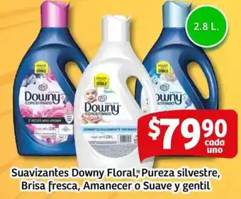 Soriana Mercado Suavizantes downy floral, pureza silvestre, brisa fresca, amanecer o suave y gentil oferta