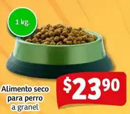 Soriana Mercado Alimento seco para perro a granel oferta