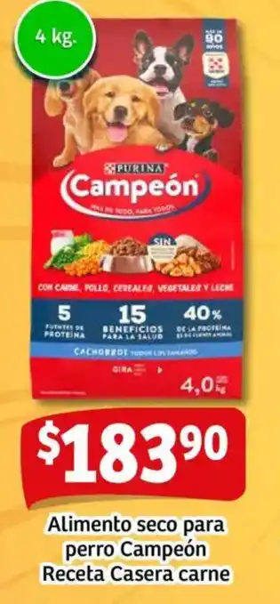 Soriana Mercado Alimento seco para perro campeón receta casera carne oferta