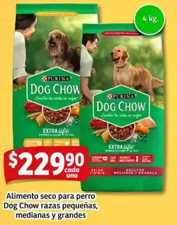 Soriana Mercado Alimento seco para perro dog chow razas pequeñas, medianas y grandes oferta