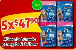 Soriana Mercado Cat chow alimento húmedo para gato oferta