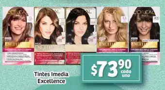 Soriana Mercado Excellence tintes imedia oferta