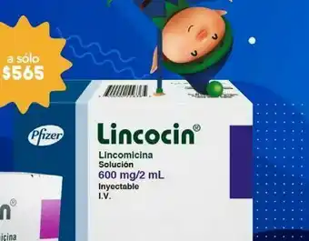 Farmacia San Pablo Inyectable adulto 600mg 6 jeringas oferta
