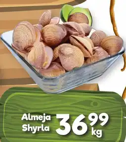 Almeja Shyrla