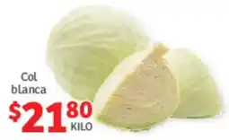 Col blanca