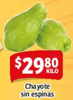 Chayote sin espinas
