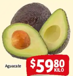 Aguacate