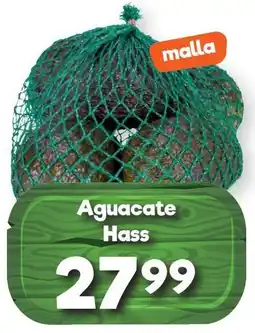 Aguacate hass